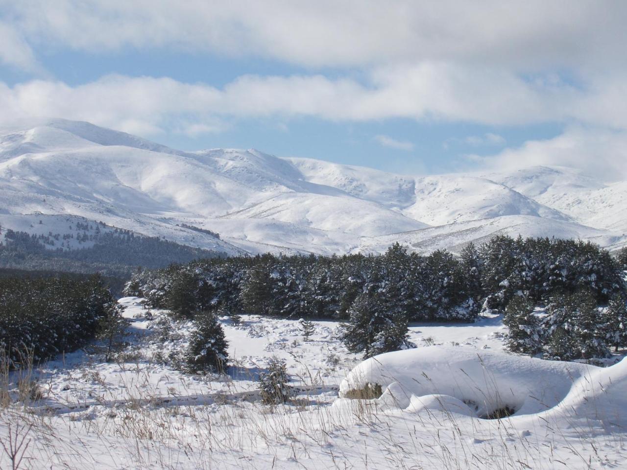 הוילה Barajas de Gredos Tinao De Gredos מראה חיצוני תמונה