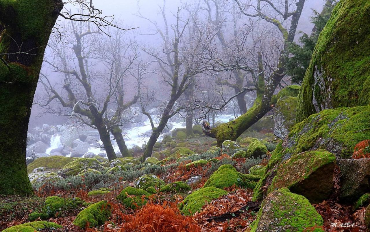 הוילה Barajas de Gredos Tinao De Gredos מראה חיצוני תמונה